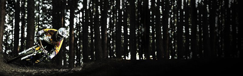 Mountain biker in forest