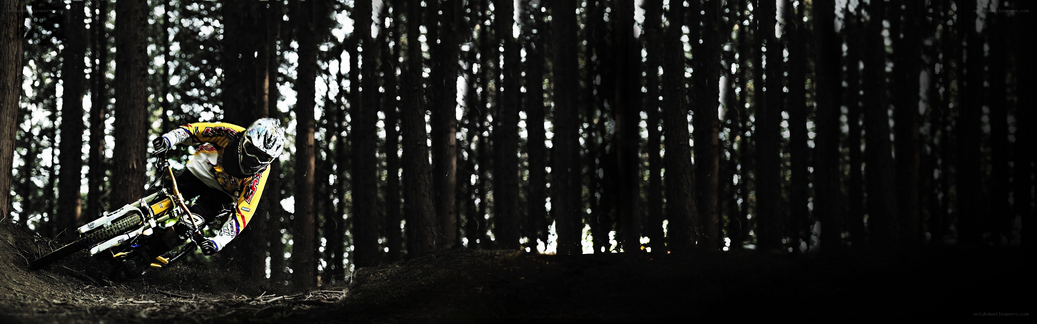 Mountain biker in forest