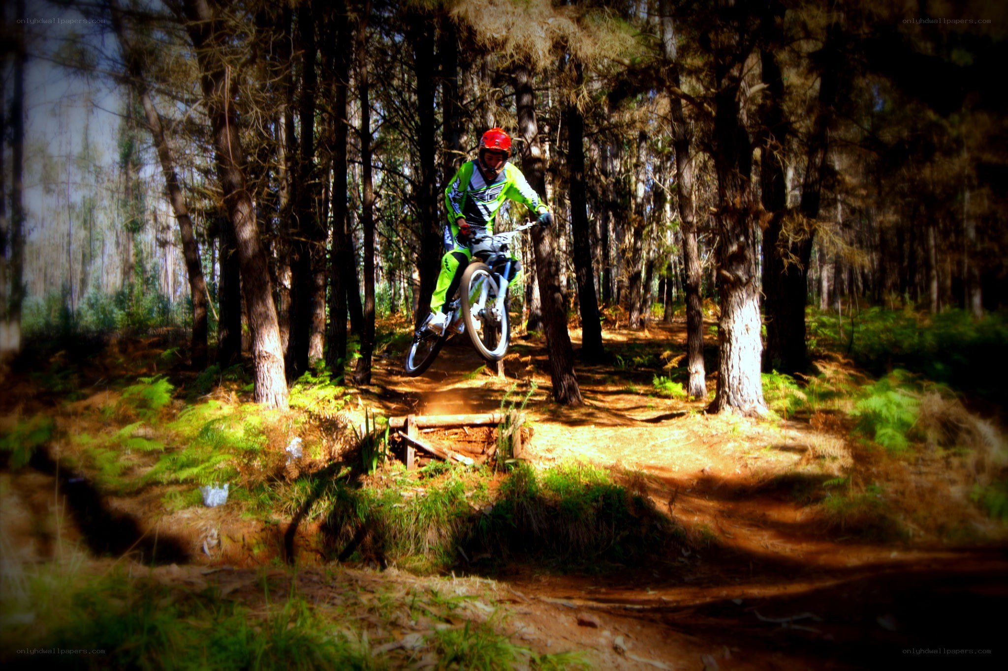 Mountain biker in forest