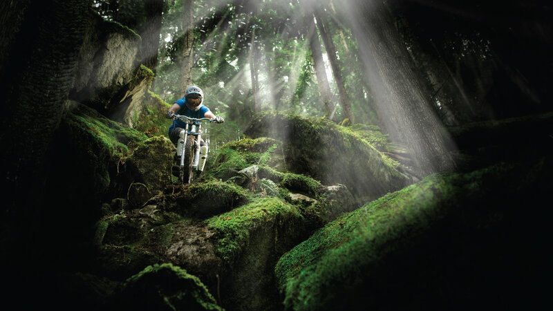 Mountain biker in forest