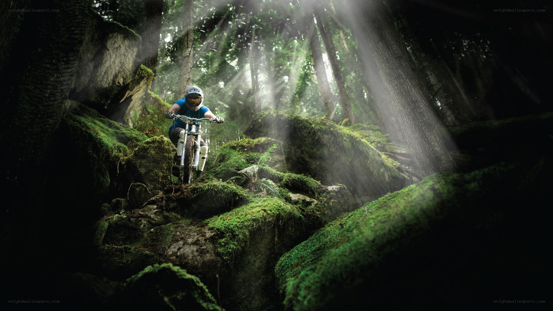 Mountain biker in forest