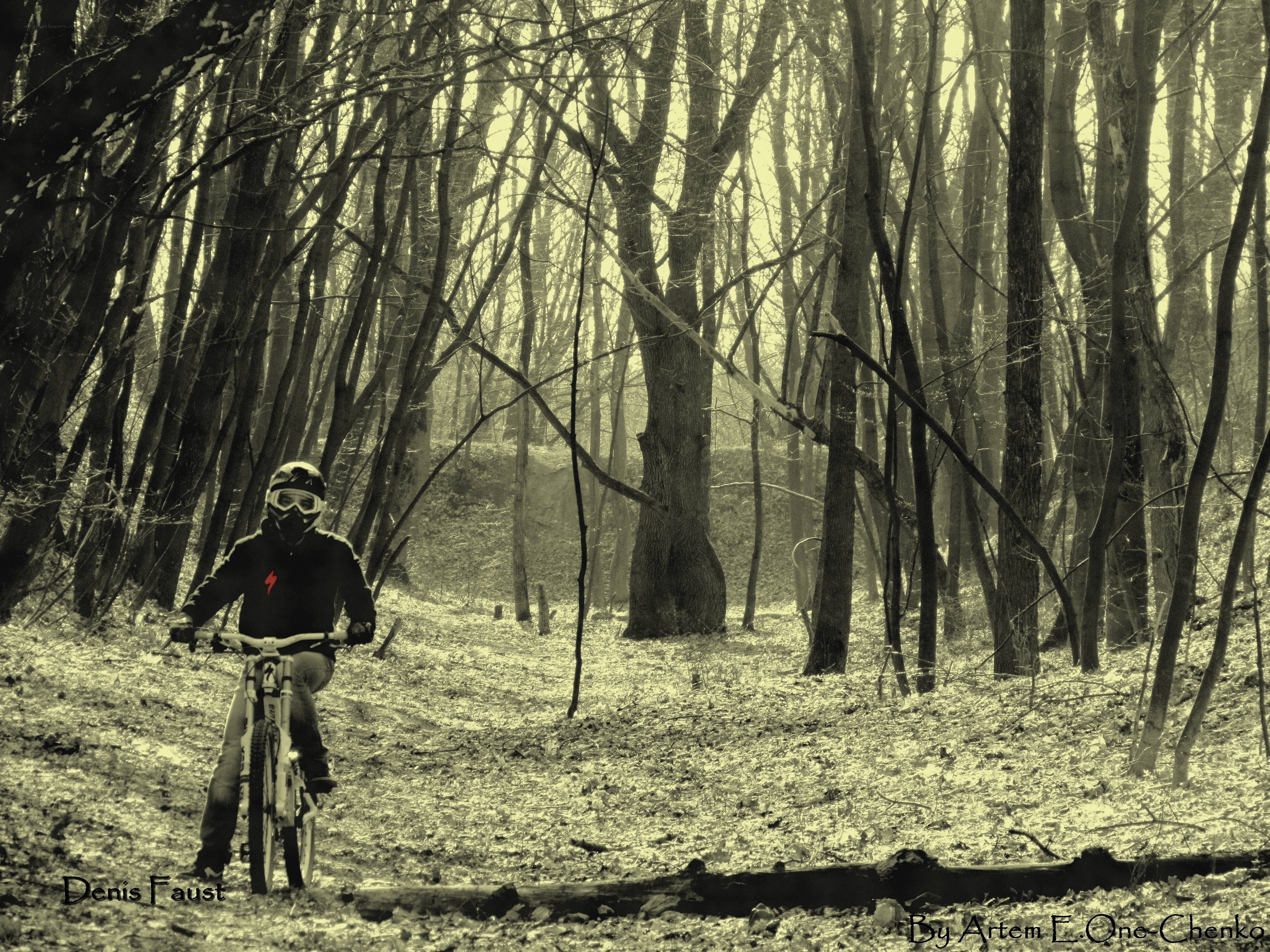 Mountain biker in forest