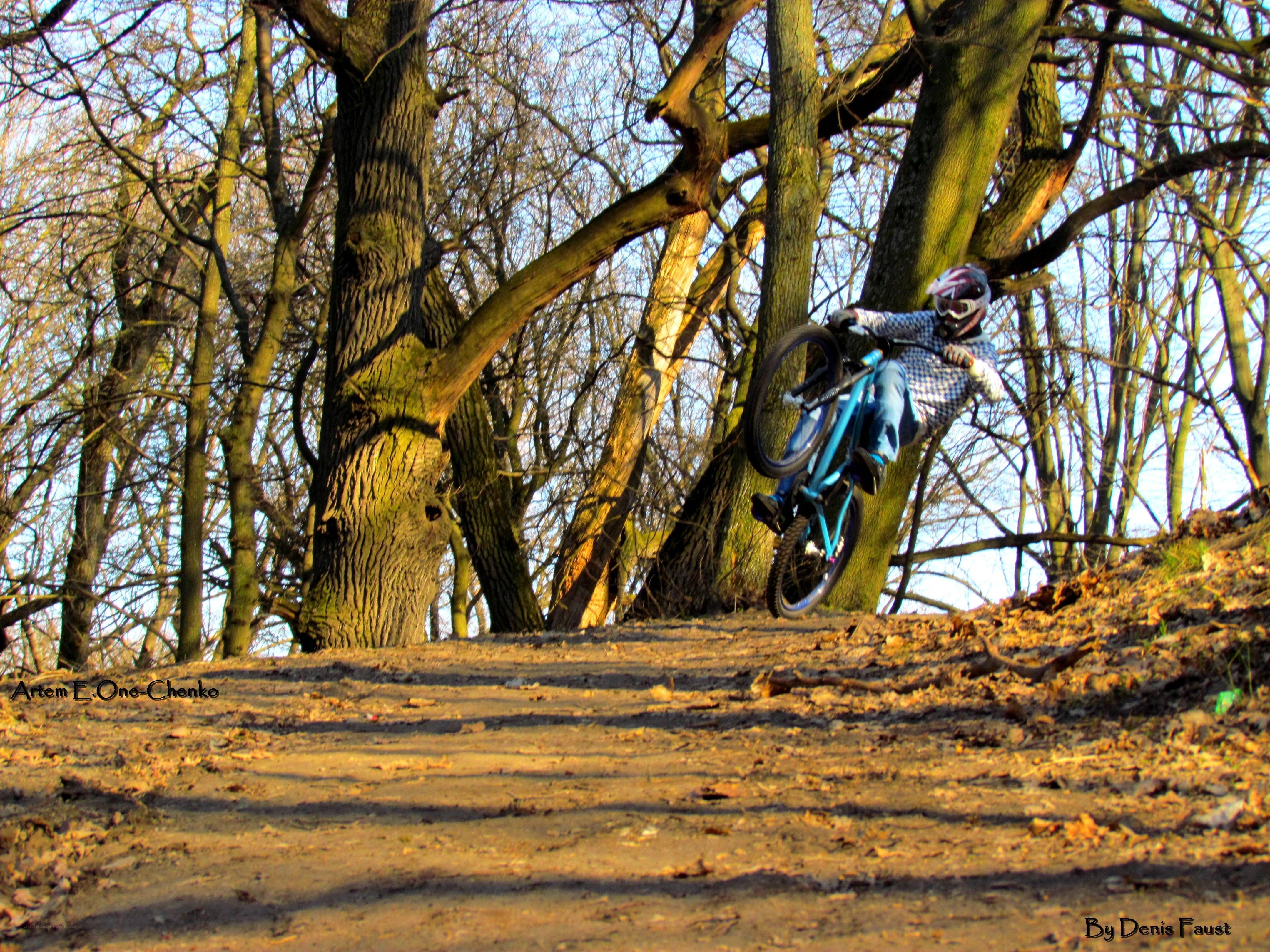 Mountain biker in forest