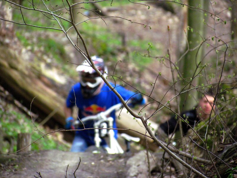 Mountain biker in forest