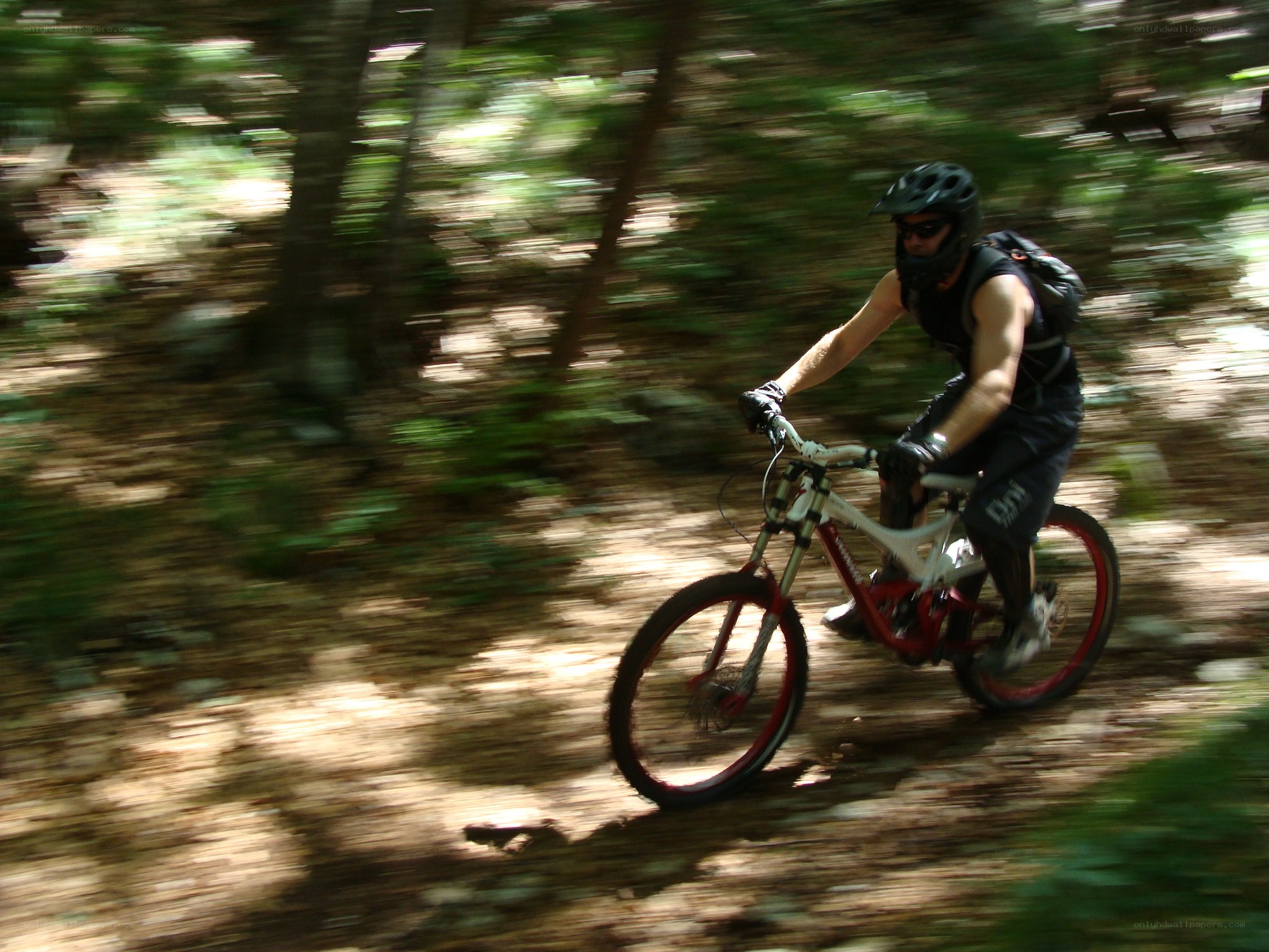 Mountain biker in forest