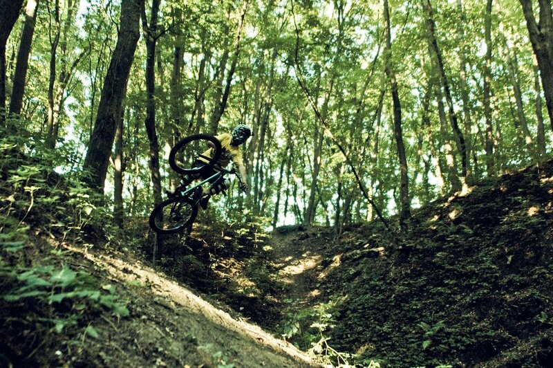 Mountain biker in forest