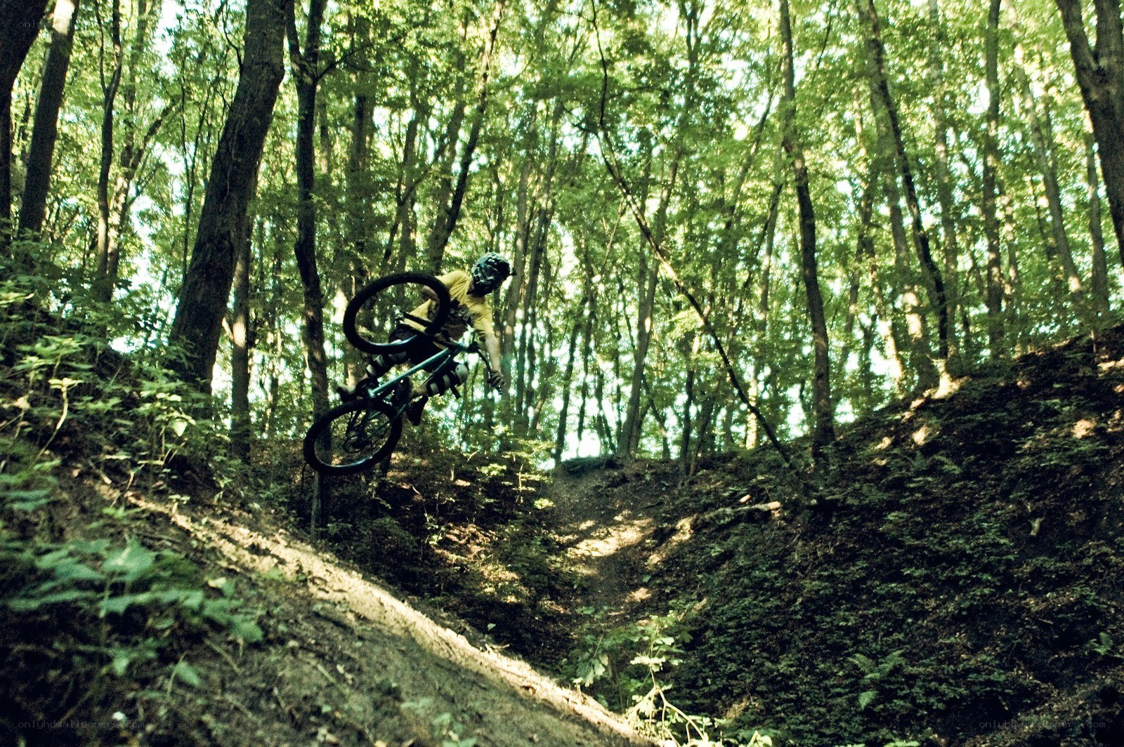 Mountain biker in forest