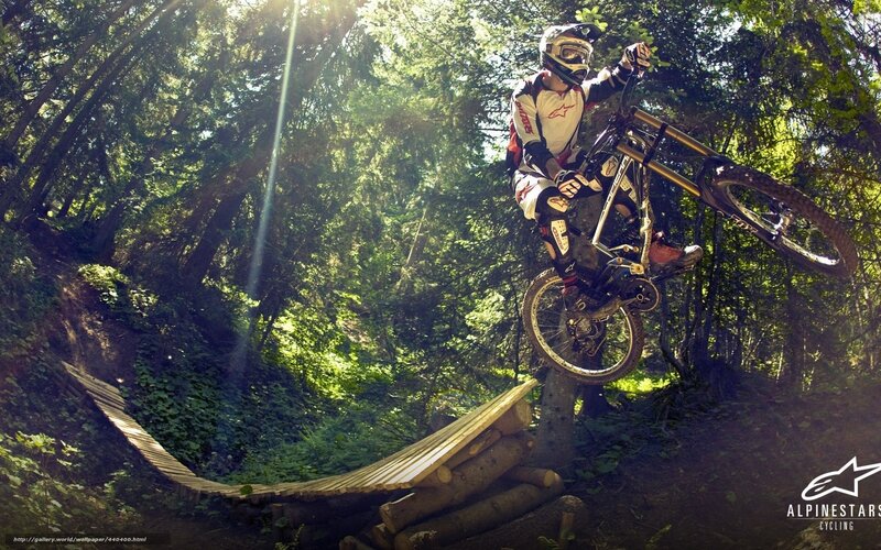 Mountain Biker in Forest — Green, Dramatic