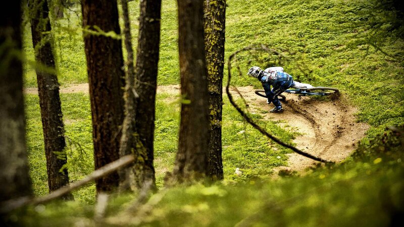 Mountain Biker in Forest — Green, Dynamic, Afternoon, Photograph, Trees