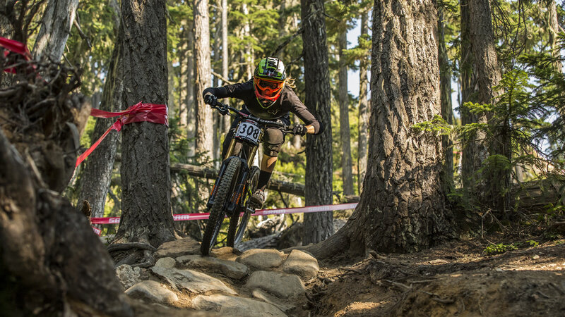 Mountain Biker in Forest — Green, Intense