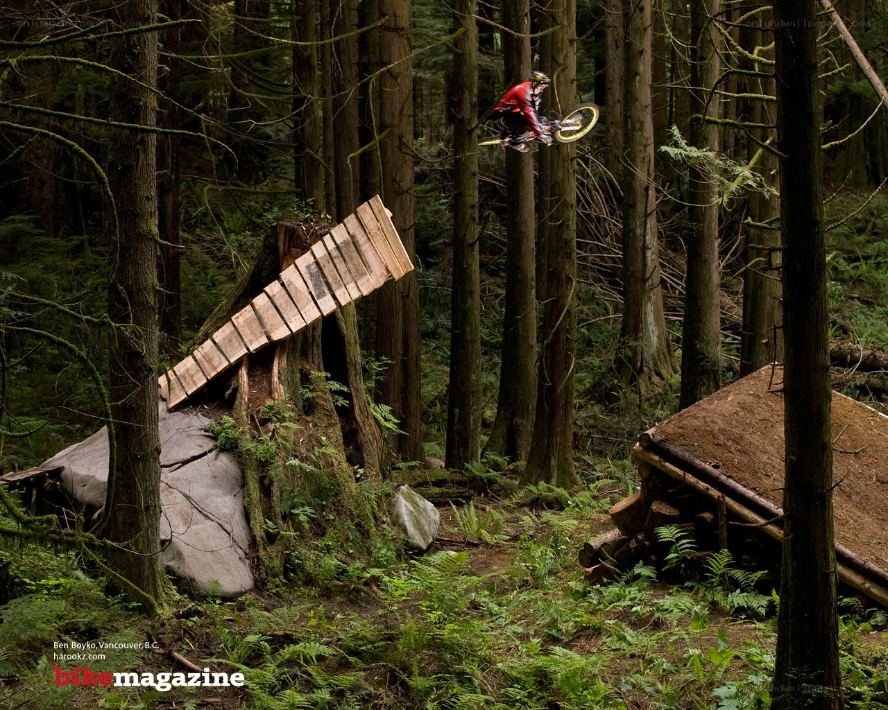 Mountain biker in forest jump
