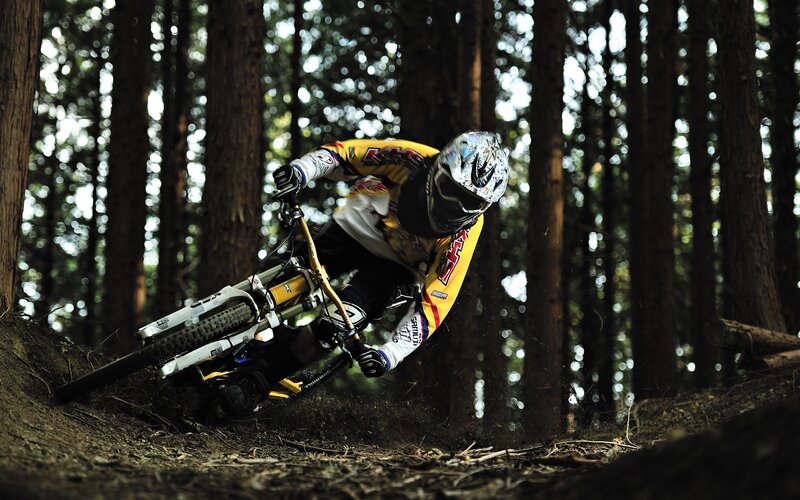 Mountain Biker in Forest — Yellow, Dynamic, Afternoon