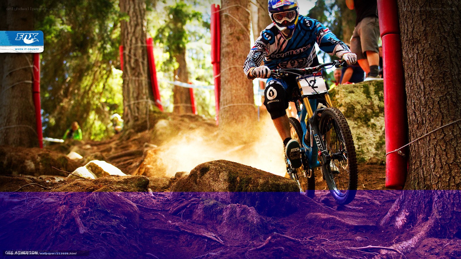 Mountain biker in forest