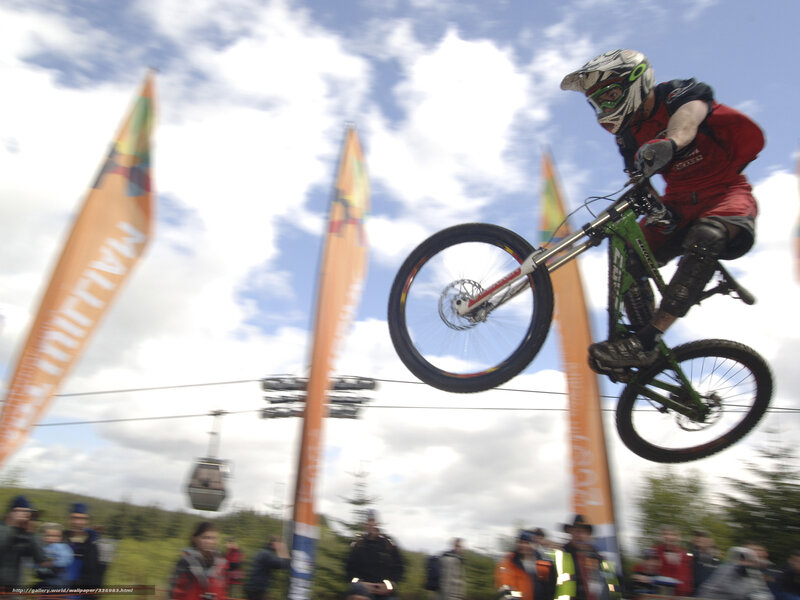 Mountain Biker in Mid-air — Green, Dynamic, Afternoon, Photograph, Bicycle