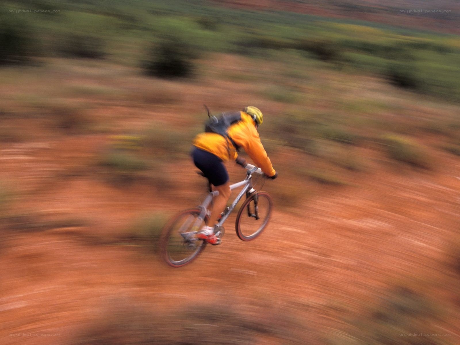 Mountain biker in motion