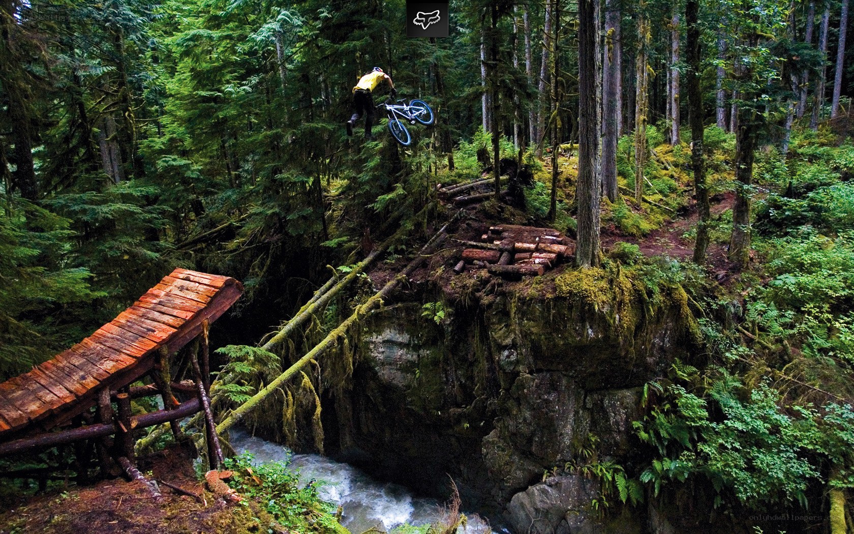 Mountain biker jumps ravine