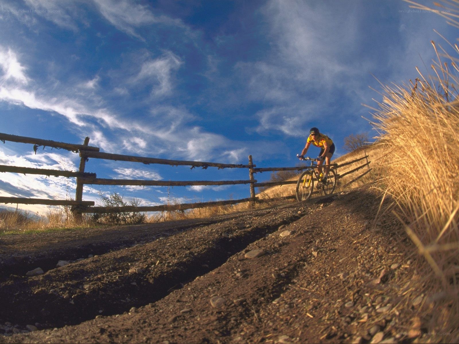 Mountain biker on a dirt trail