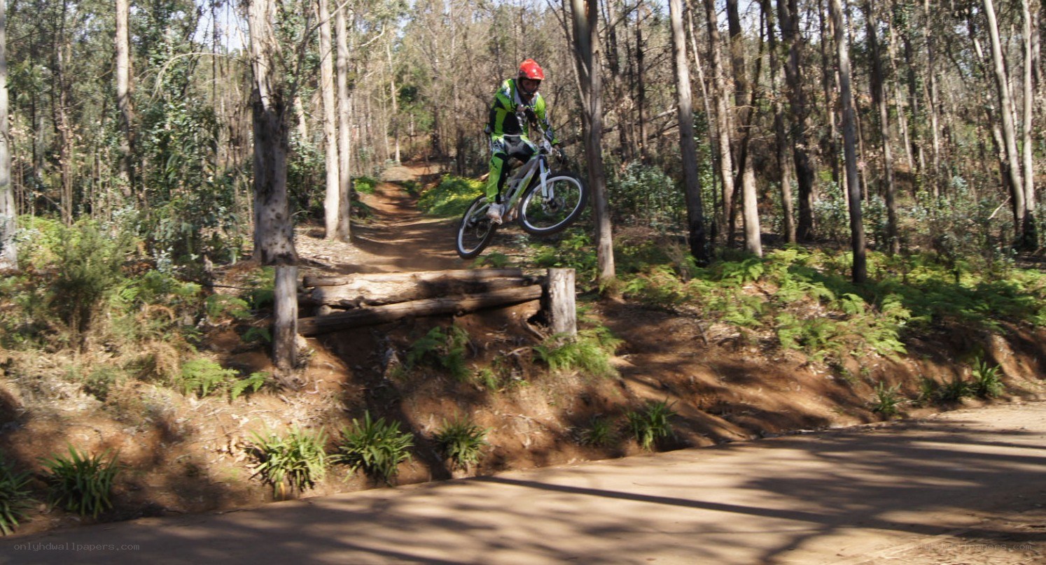 Mountain biker on a jump