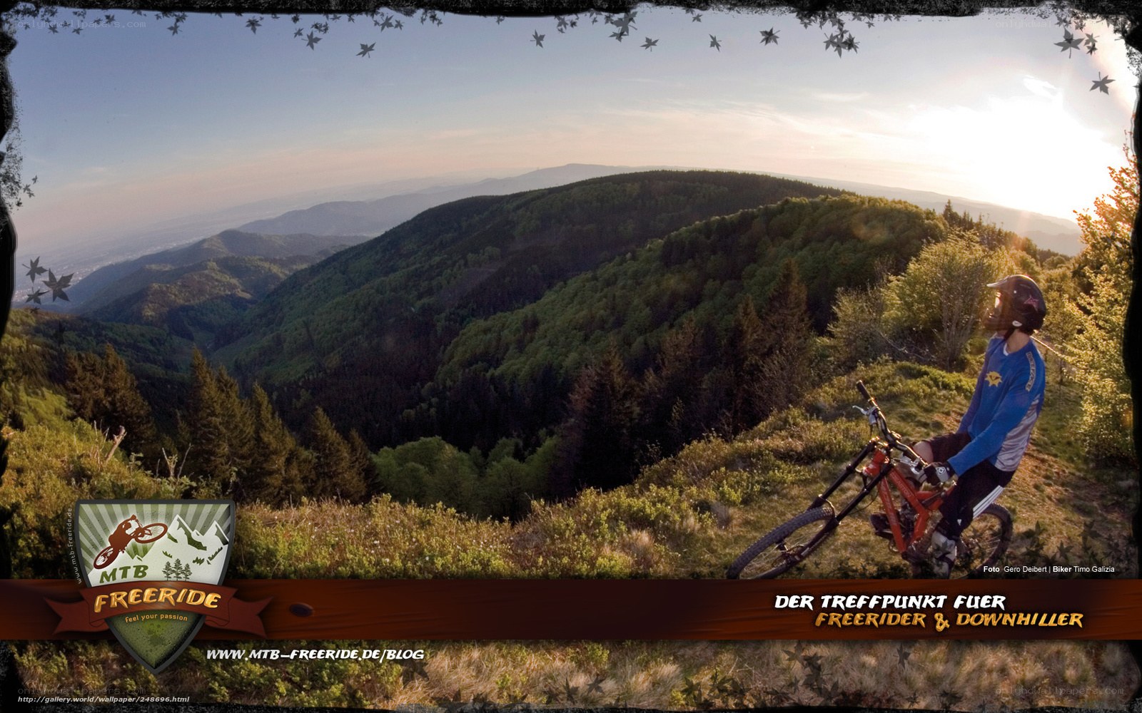 Mountain biker on a scenic trail