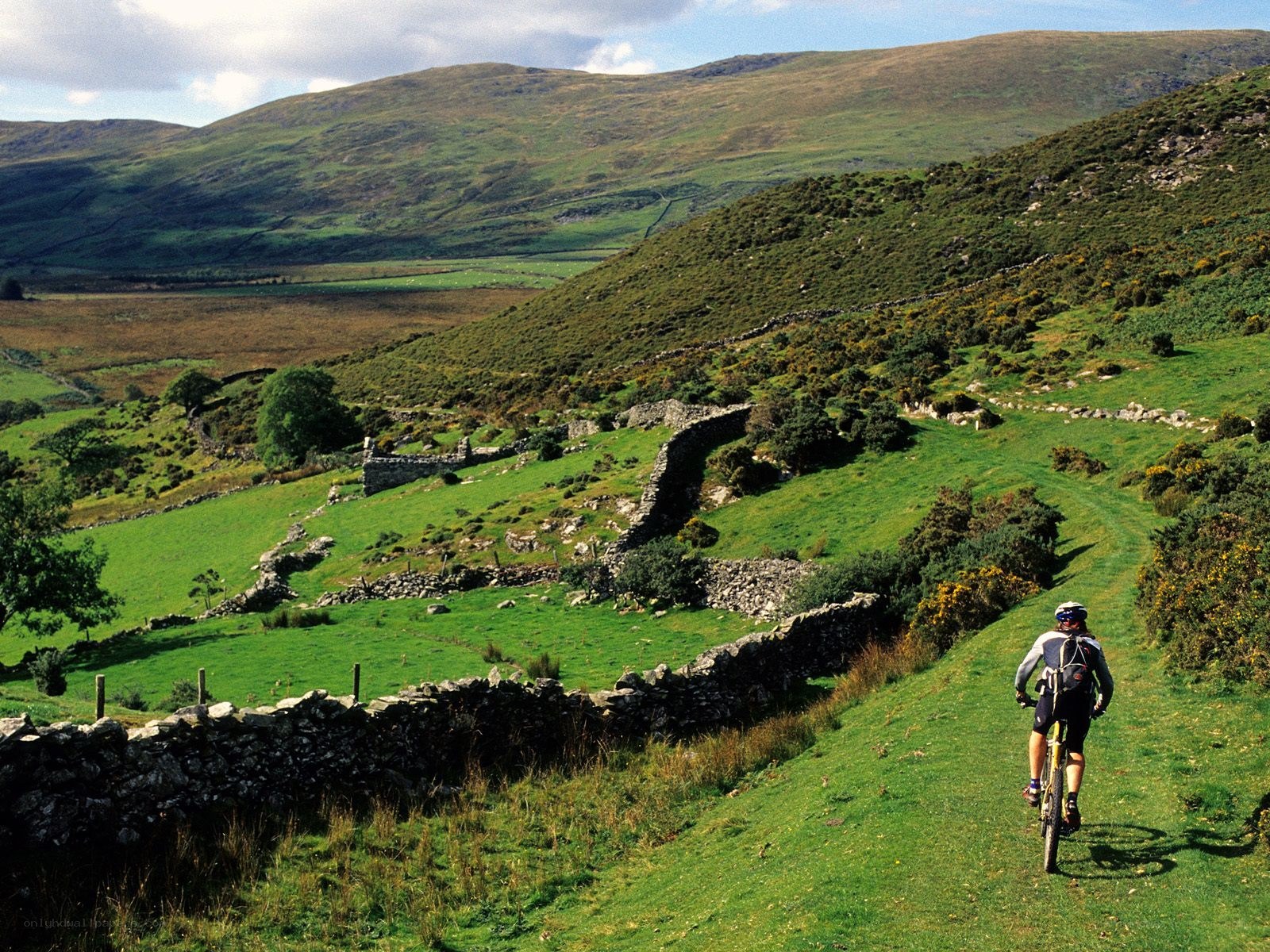 Mountain biker on a trail