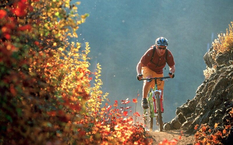 Mountain biker on a trail