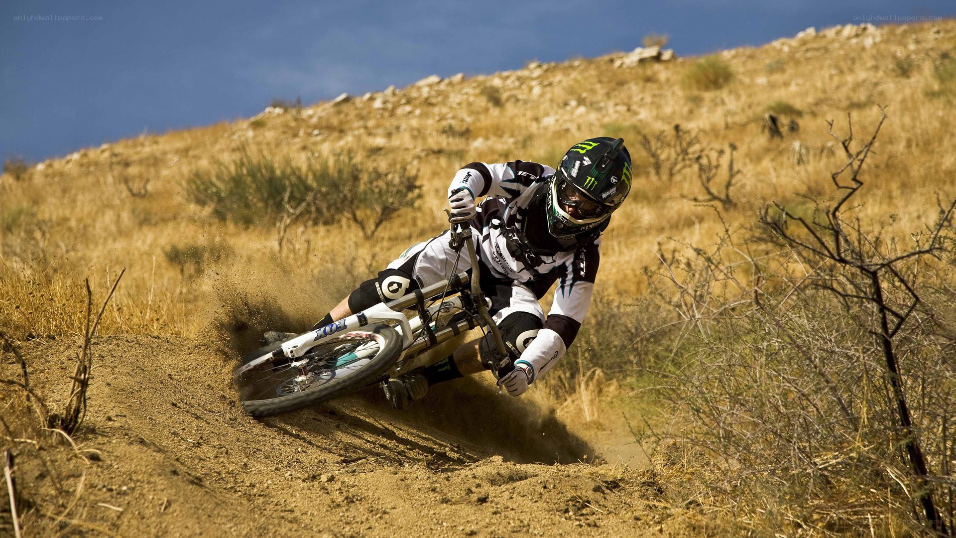 Mountain biker on dirt trail