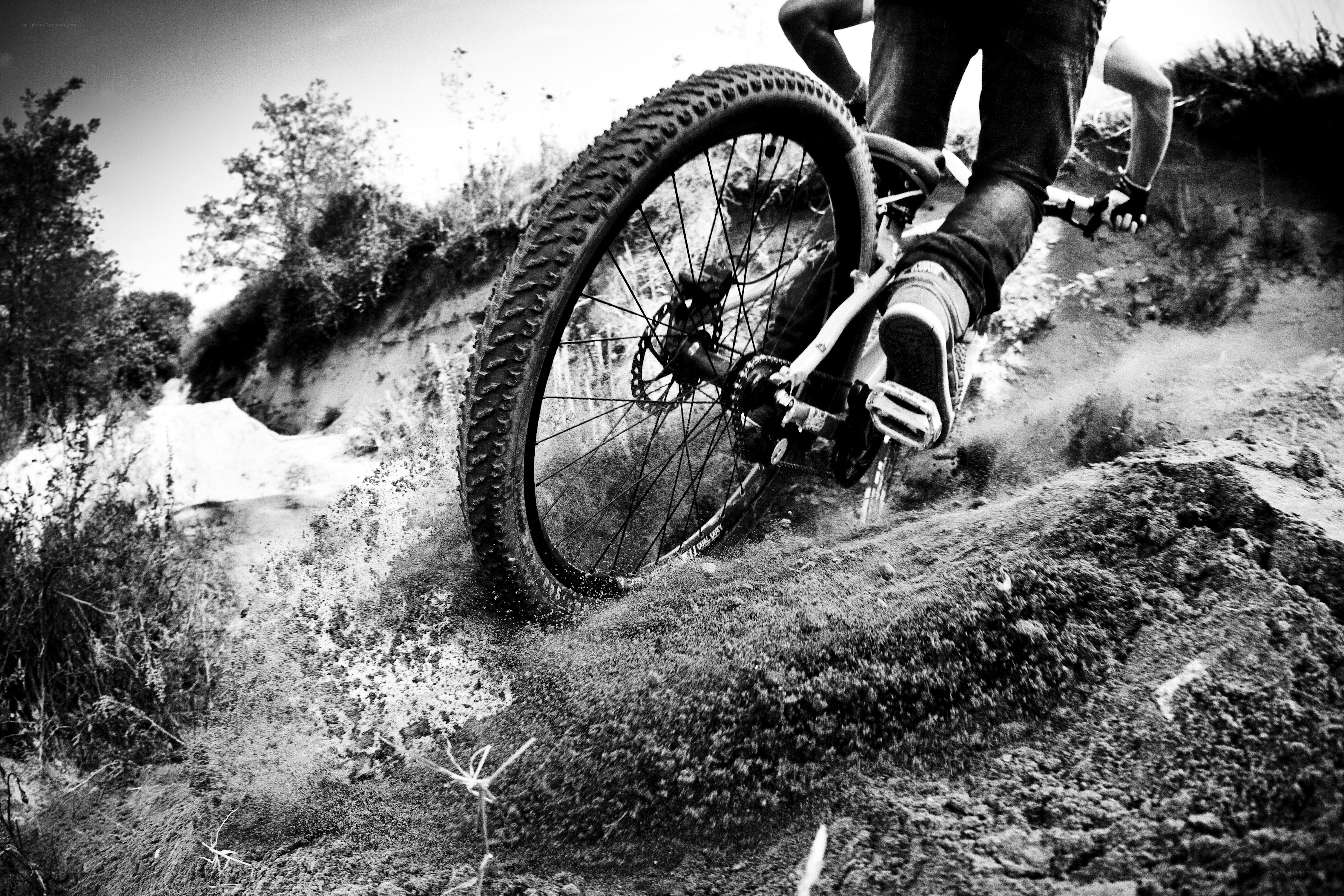 Mountain biker on dirt trail