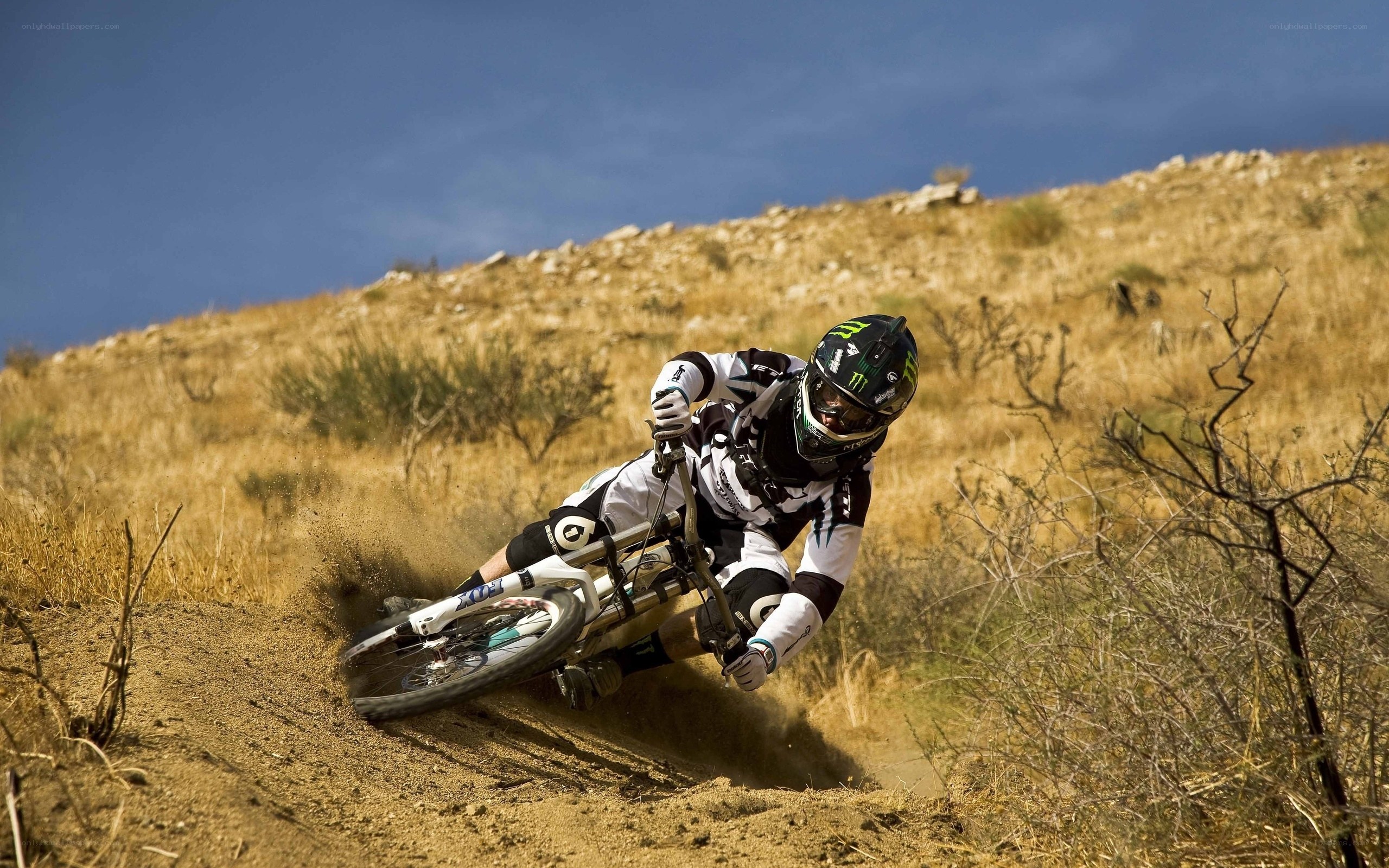 Mountain biker on dirt trail