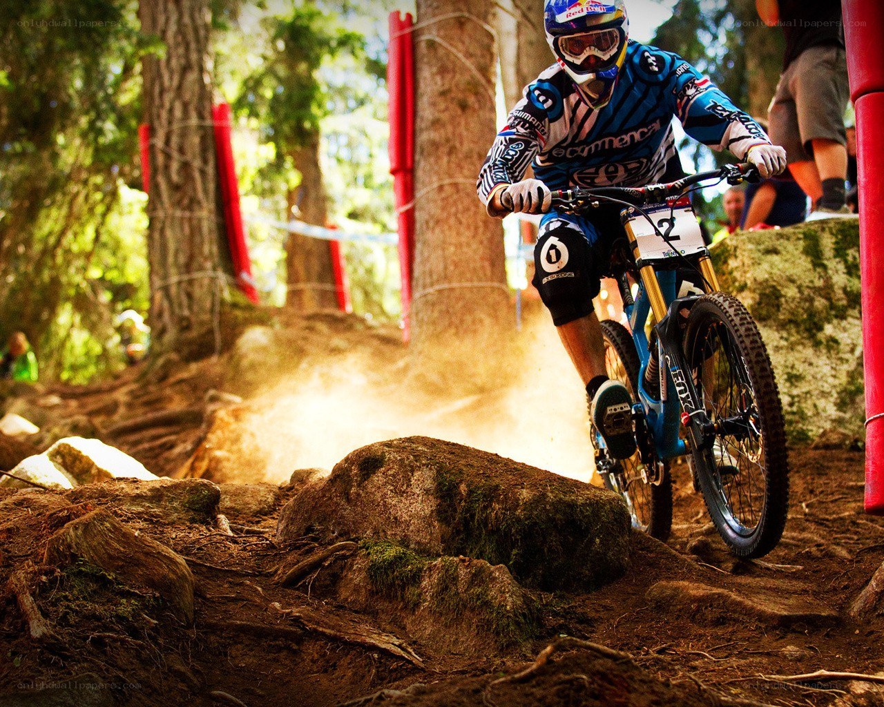 Mountain biker on forest trail