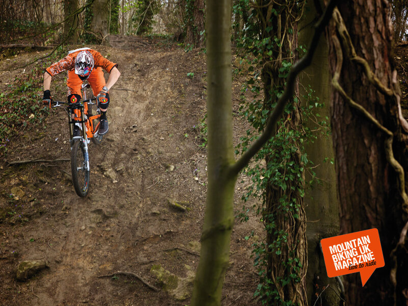 Mountain biker on forest trail