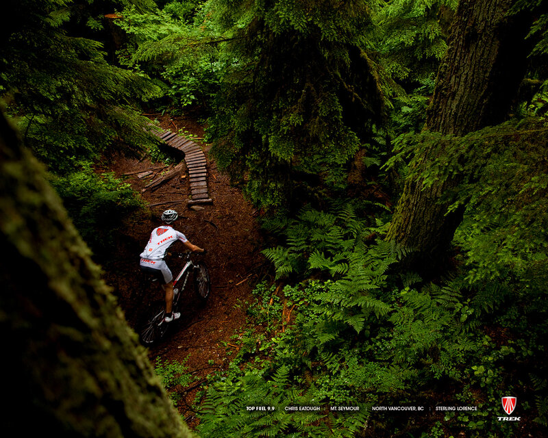 Mountain biker on forest trail