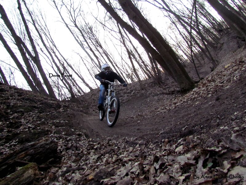 Mountain biker on forest trail