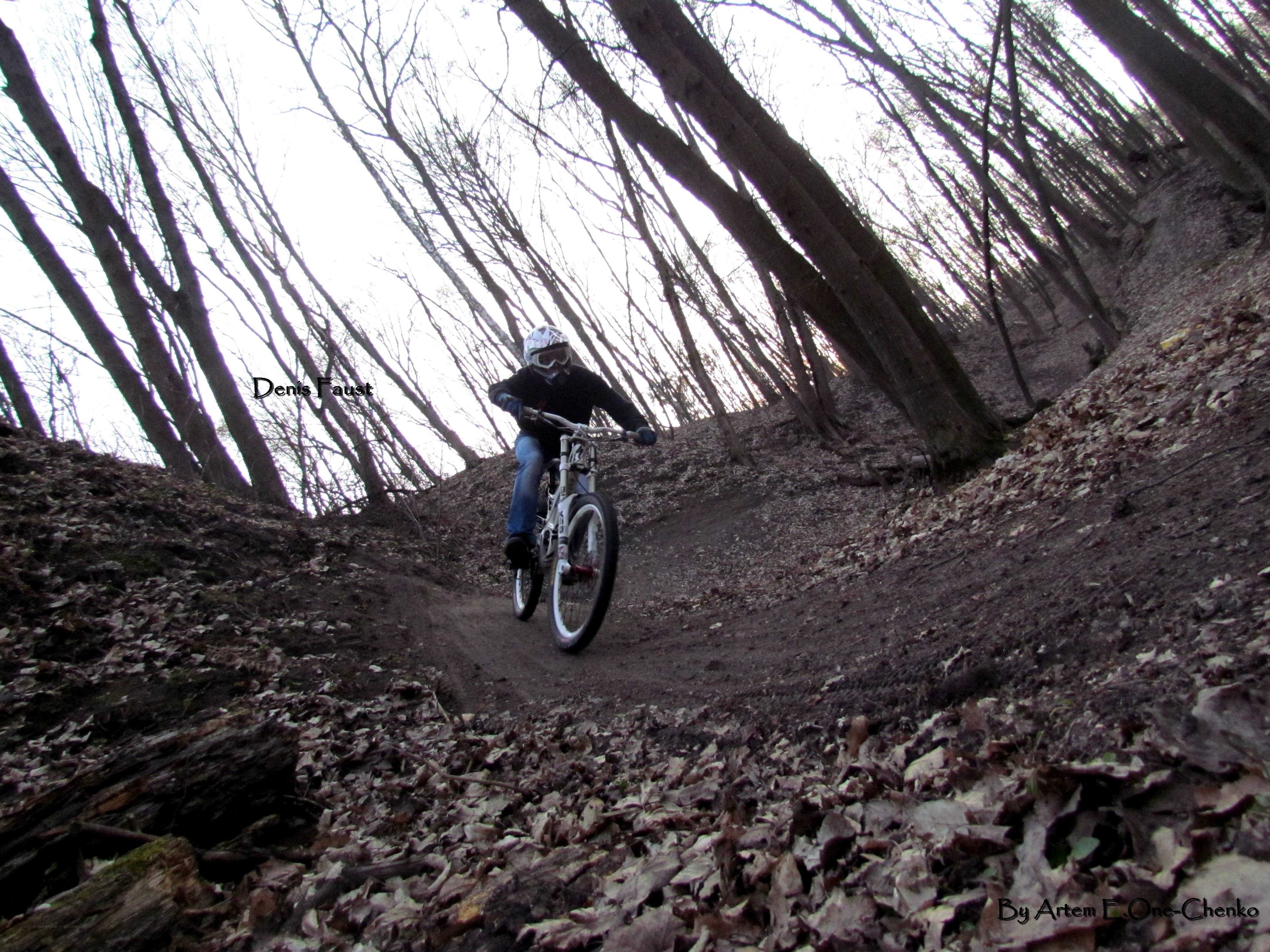 Mountain biker on forest trail
