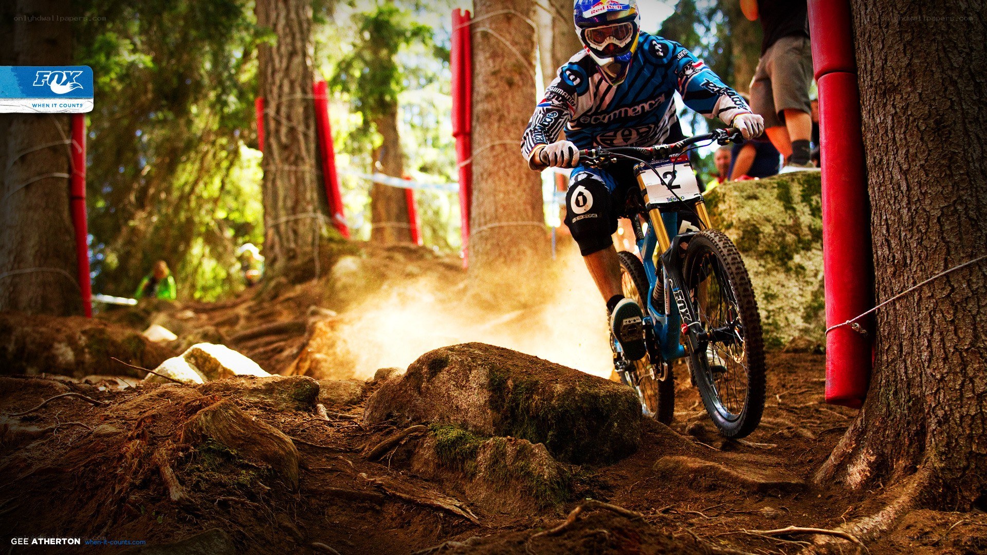 Mountain biker on forest trail