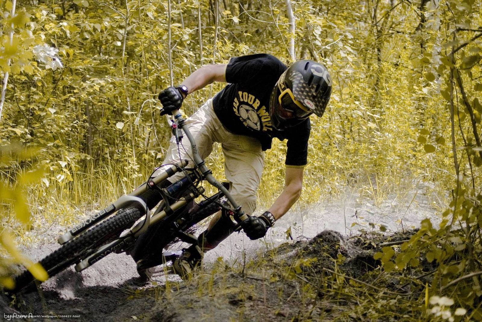 Mountain biker on forest trail