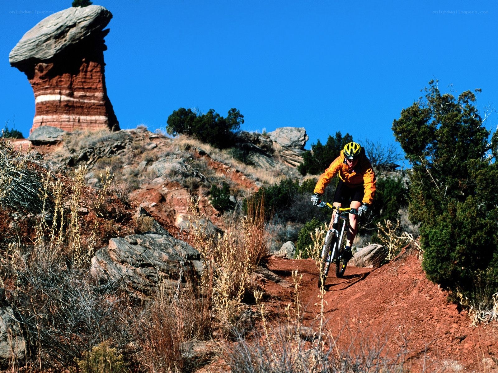 Mountain biker on red trail