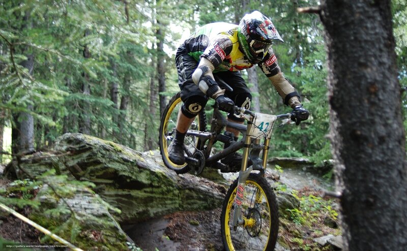 Mountain Biker on Rock — Green