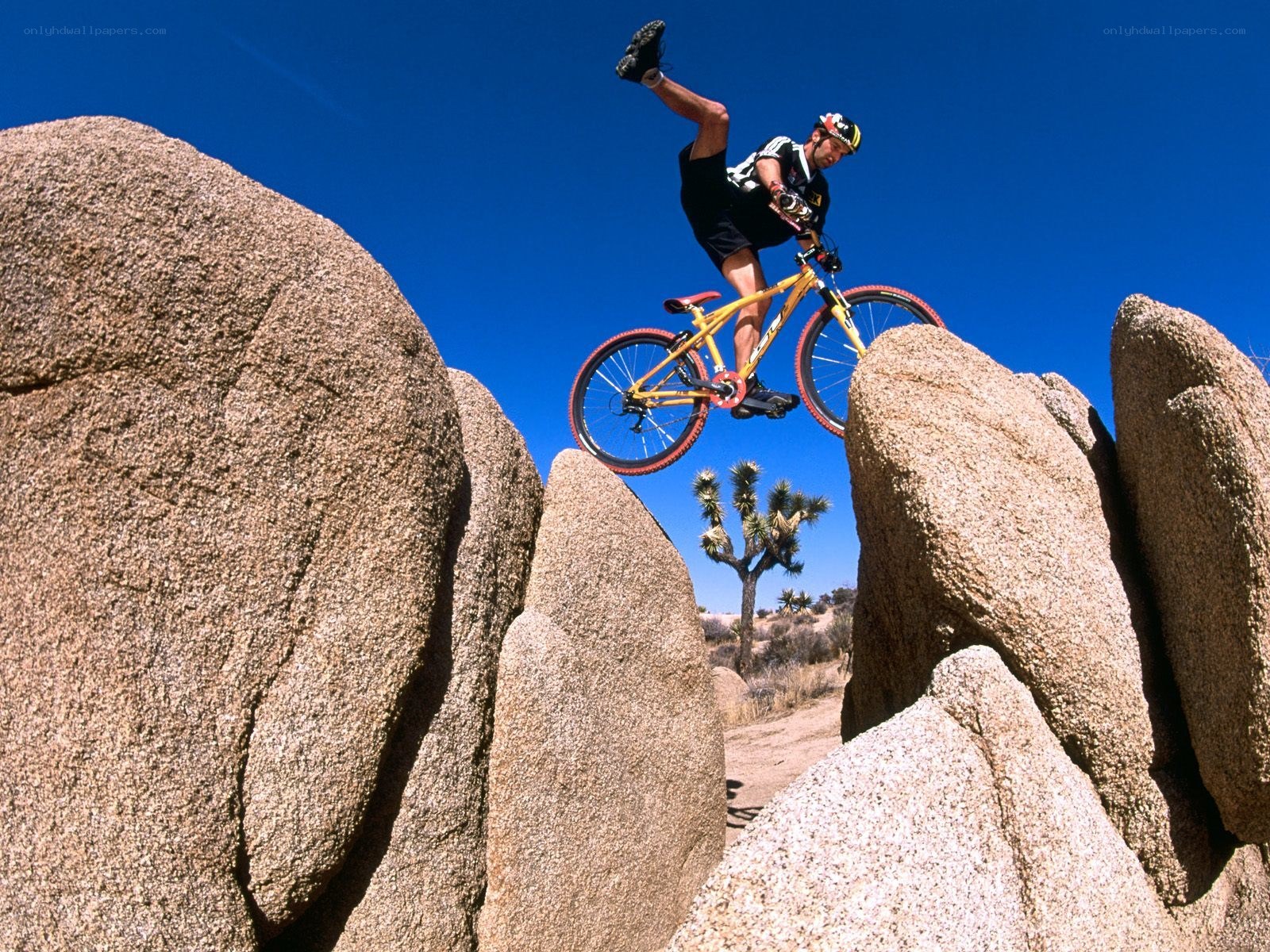 Mountain biker on rocky terrain