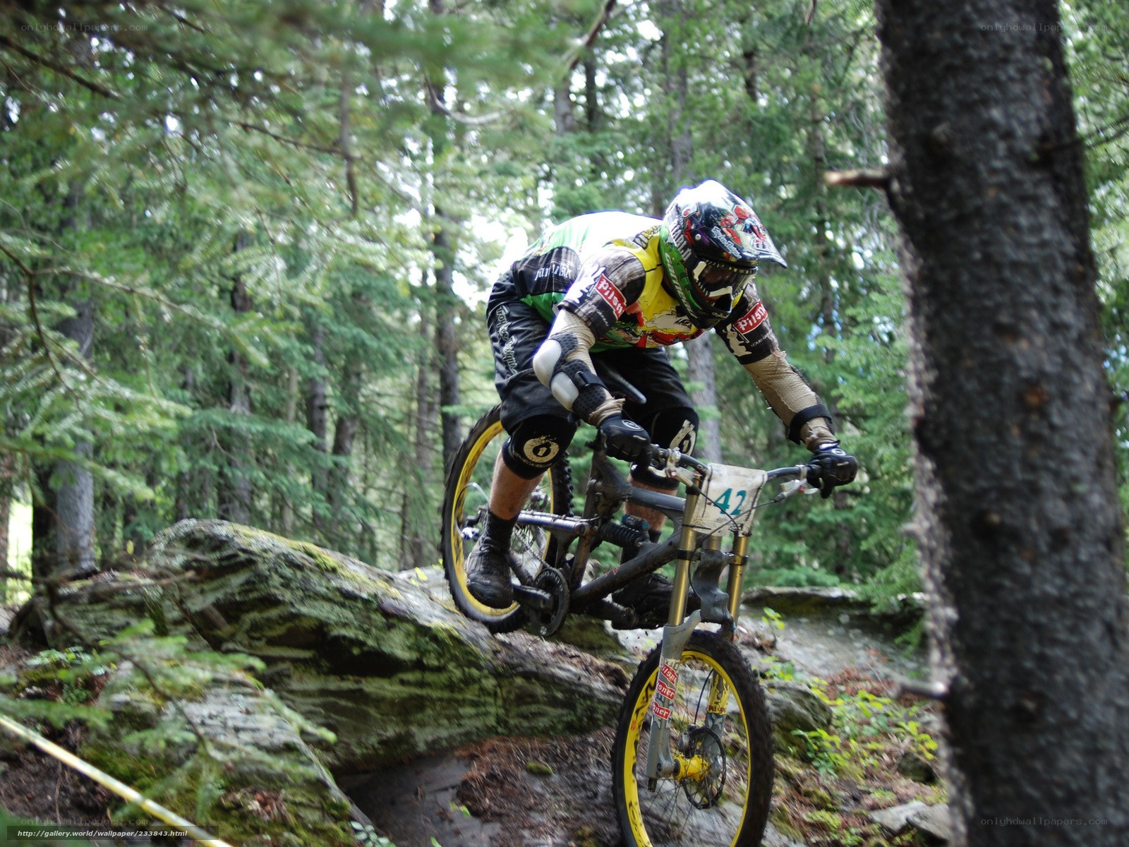 Mountain biker on rocky trail