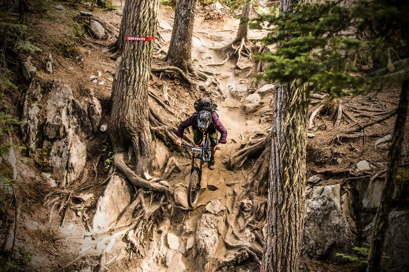 Mountain Biker on Trail — Brown, Adventurous