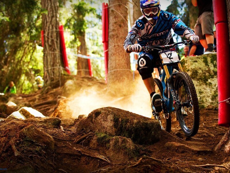 Mountain Biker on Trail — Brown, Dynamic, Afternoon, Photograph, Dirt Path, Trees, Spectators