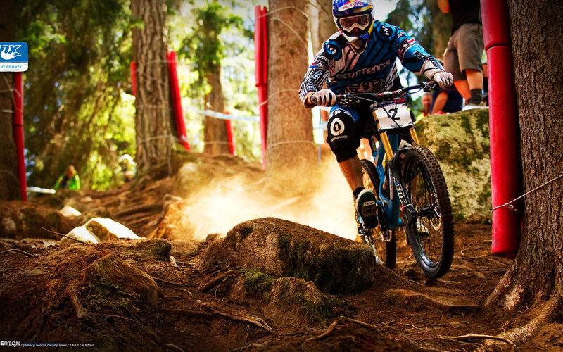 Mountain Biker on Trail — Brown, Dynamic, Afternoon