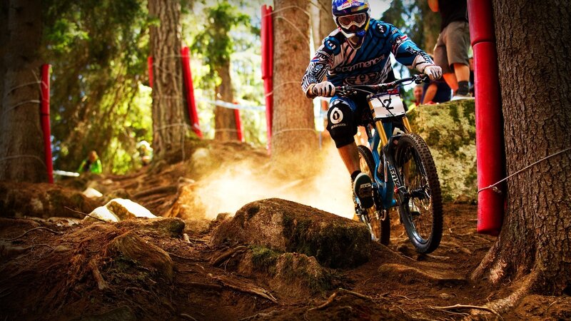 Mountain Biker on Trail — Brown, Dynamic