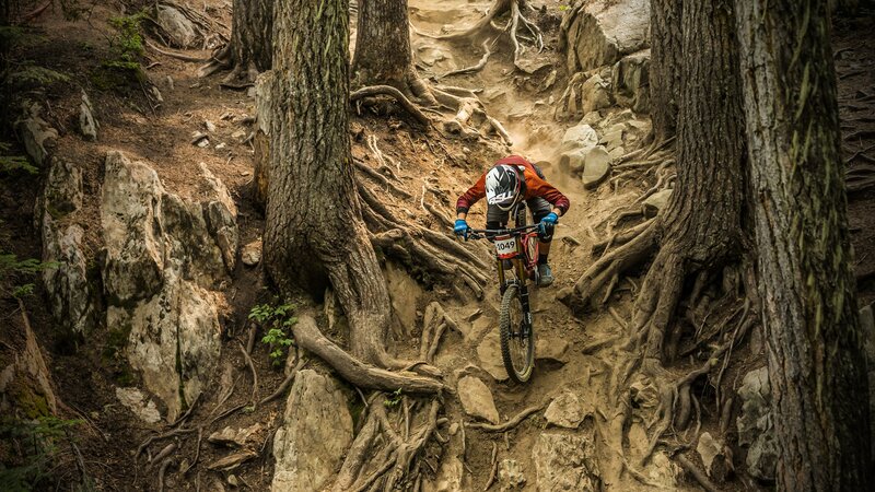 Mountain Biker on Trail — Brown, Intense