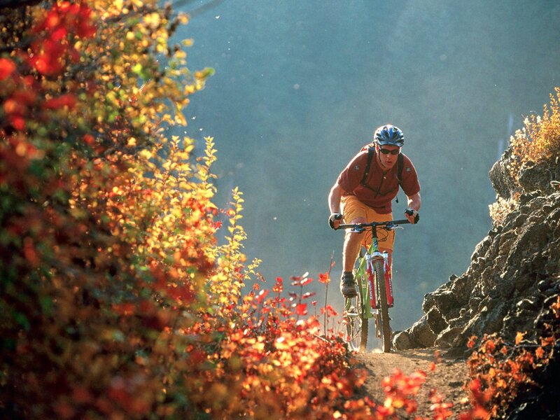 Mountain Biker on Trail — Red