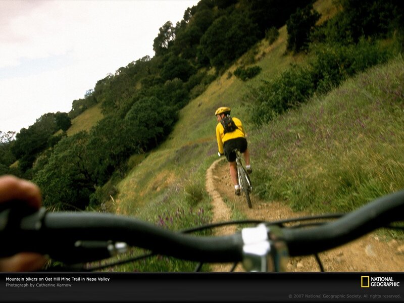 Mountain bikers on a trail