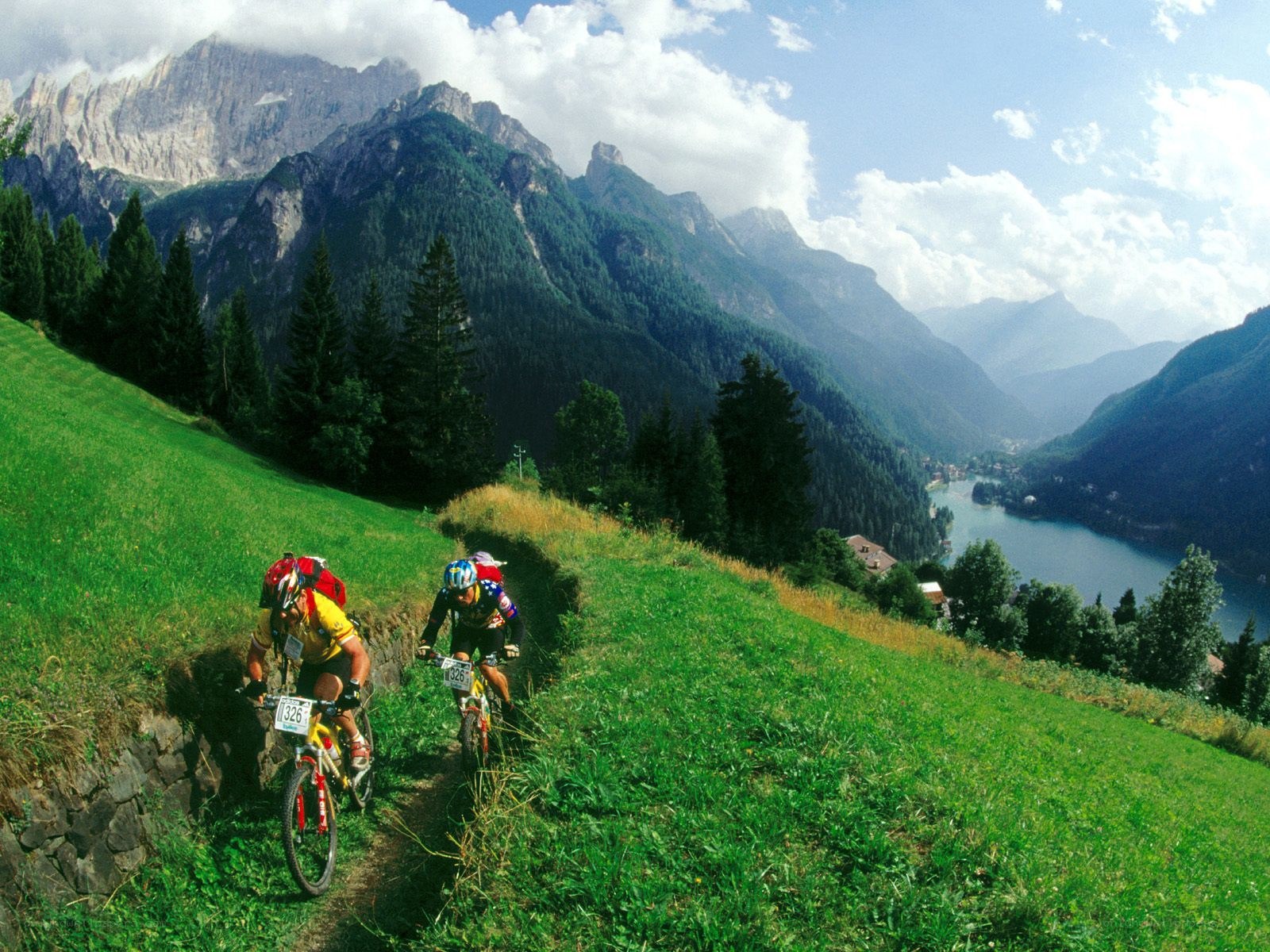 Mountain bikers on a trail