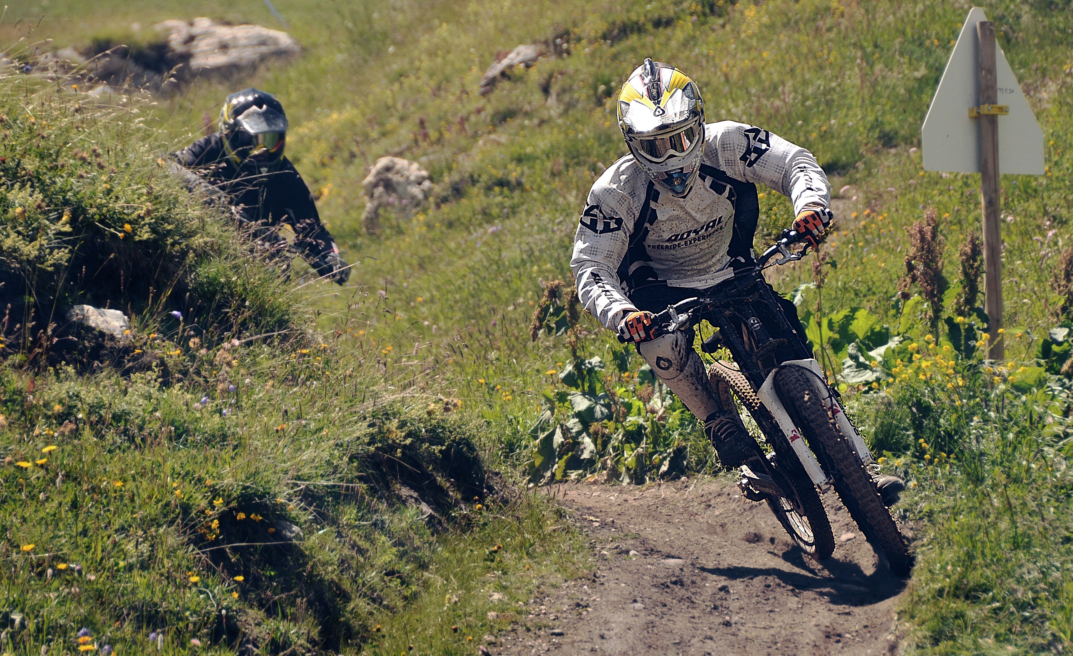 Mountain bikers on a trail