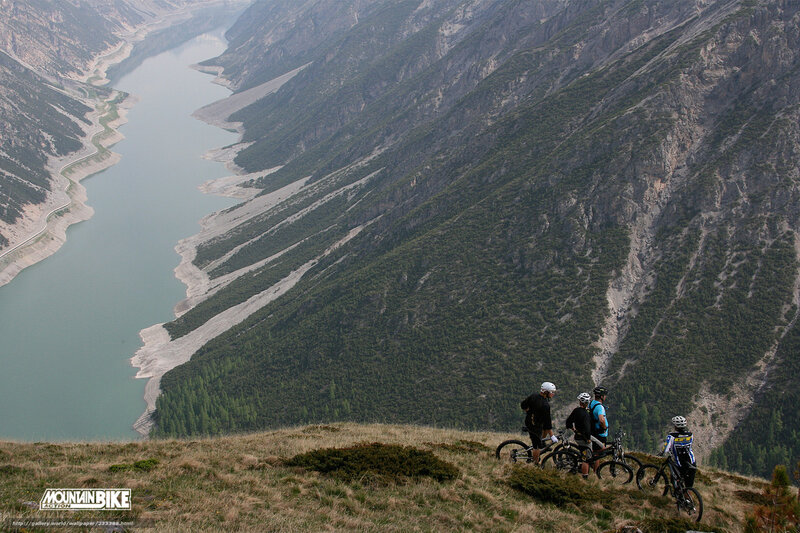 Mountain bikers overlook a valley