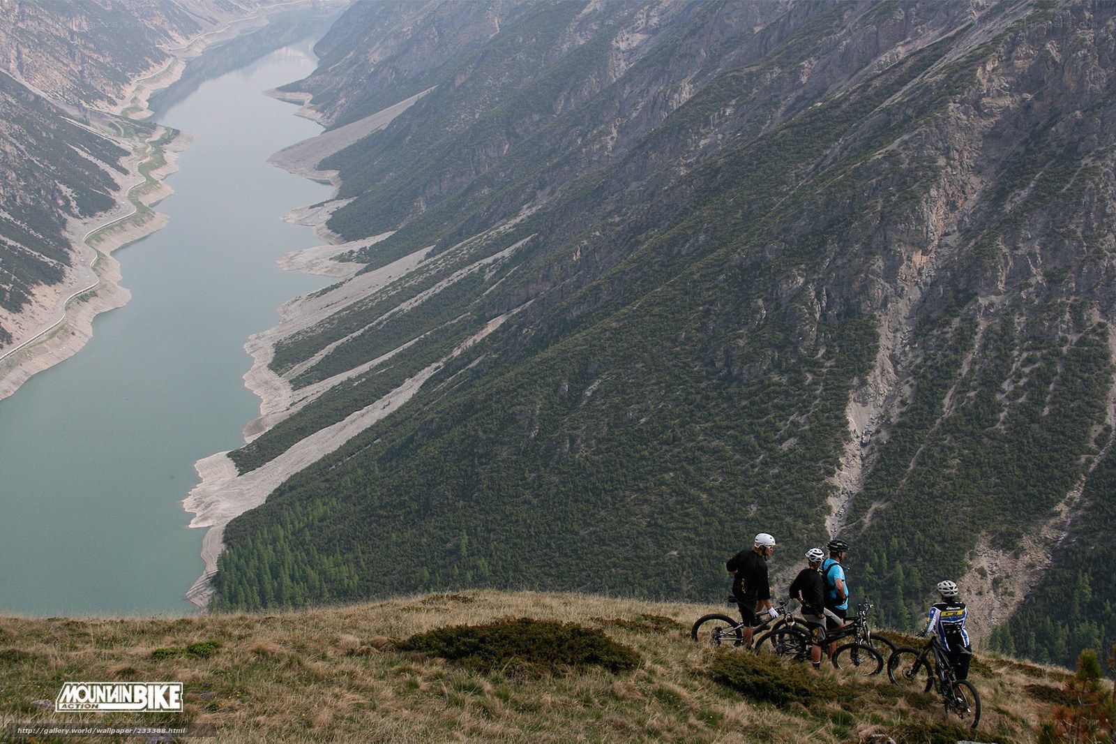 Mountain bikers overlook a valley